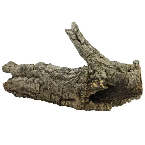 HOBBY Korkröhre L ca. 60 - 80 Centimeter Aquarieneinrichtung Direktkauf